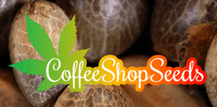 Coffee Shop Seeds coupons